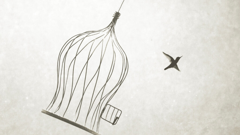 you are not your thoughts