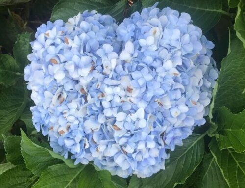 Who are you listening to today?