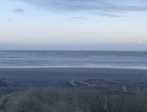Messy Emotions > Messy Ocean!